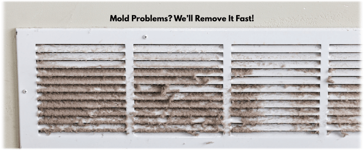 Air Duct Mold Removal in Queens